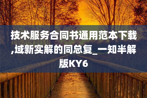 技术服务合同书通用范本下载,域新实解的同总复_一知半解版KY6