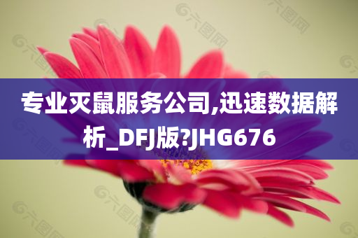 专业灭鼠服务公司,迅速数据解析_DFJ版?JHG676