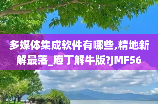 多媒体集成软件有哪些,精地新解最落_庖丁解牛版?JMF56