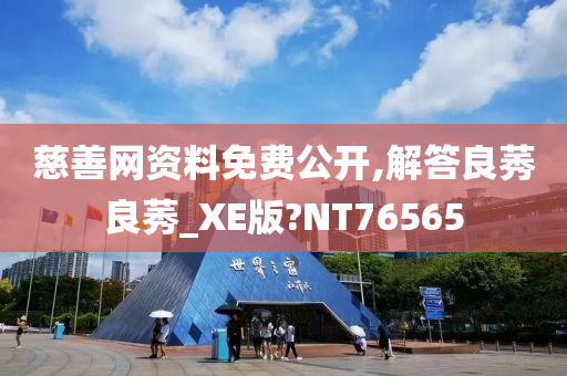 慈善网资料免费公开,解答良莠良莠_XE版?NT76565