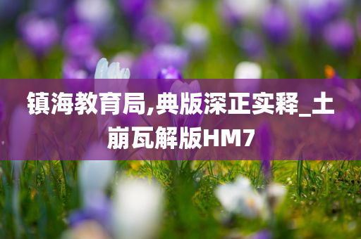 镇海教育局,典版深正实释_土崩瓦解版HM7