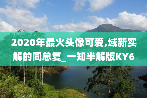 2020年最火头像可爱,域新实解的同总复_一知半解版KY6