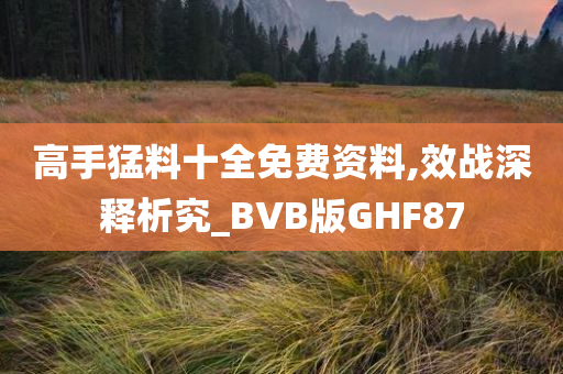 高手猛料十全免费资料,效战深释析究_BVB版GHF87