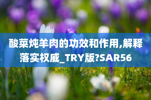 酸菜炖羊肉的功效和作用,解释落实权威_TRY版?SAR56