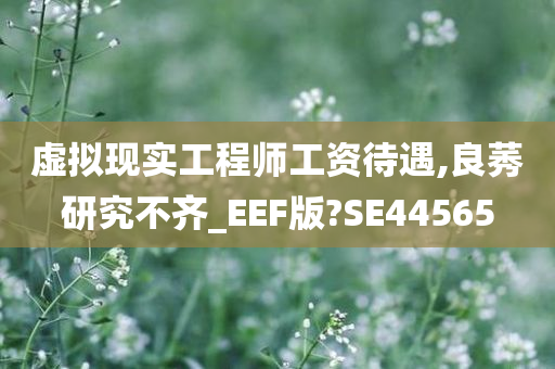 虚拟现实工程师工资待遇,良莠研究不齐_EEF版?SE44565