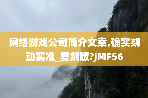 网络游戏公司简介文案,确实刻动实准_复刻版?JMF56