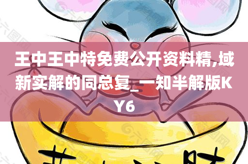 王中王中特免费公开资料精,域新实解的同总复_一知半解版KY6