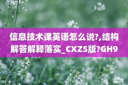 信息技术课英语怎么说?,结构解答解释落实_CXZS版?GH9