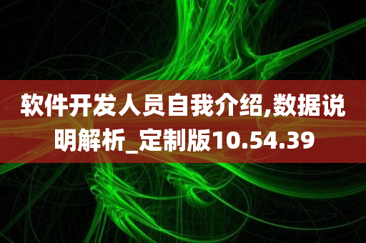 软件开发人员自我介绍,数据说明解析_定制版10.54.39