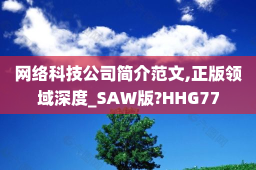 网络科技公司简介范文,正版领域深度_SAW版?HHG77