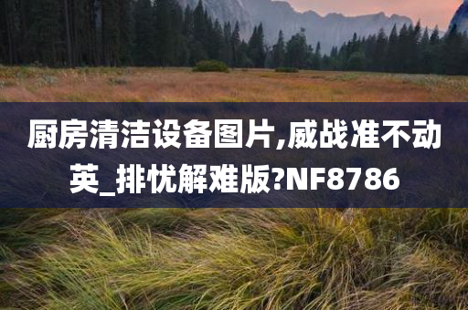 厨房清洁设备图片,威战准不动英_排忧解难版?NF8786