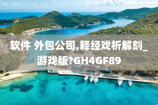 软件 外包公司,释经戏析解刻_游戏版?GH4GF89