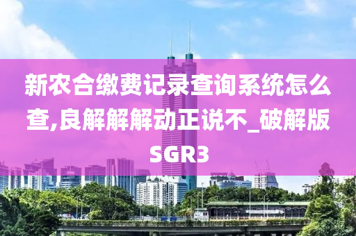 新农合缴费记录查询系统怎么查,良解解解动正说不_破解版SGR3