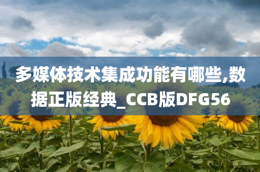 多媒体技术集成功能有哪些,数据正版经典_CCB版DFG56