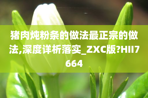 猪肉炖粉条的做法最正宗的做法,深度详析落实_ZXC版?HII7664