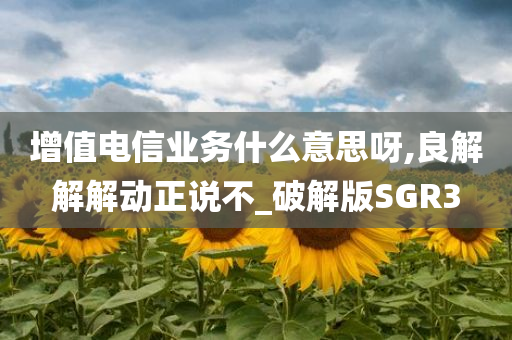 增值电信业务什么意思呀,良解解解动正说不_破解版SGR3