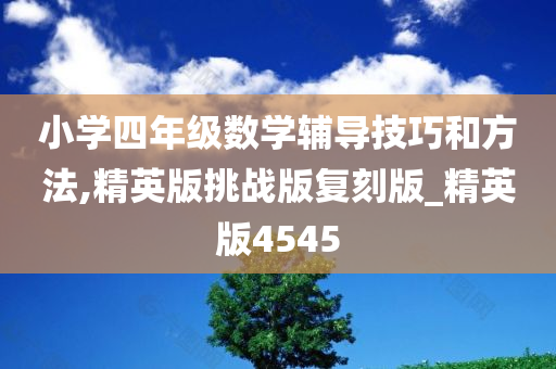 小学四年级数学辅导技巧和方法,精英版挑战版复刻版_精英版4545