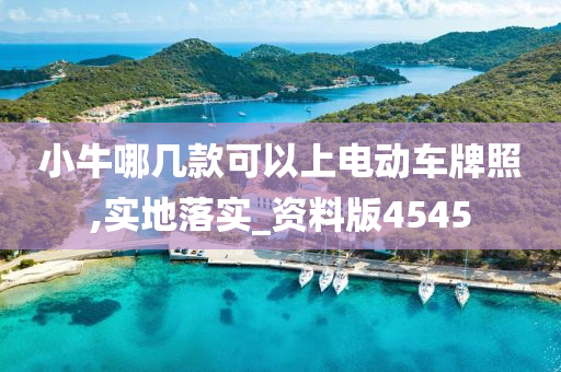 小牛哪几款可以上电动车牌照,实地落实_资料版4545