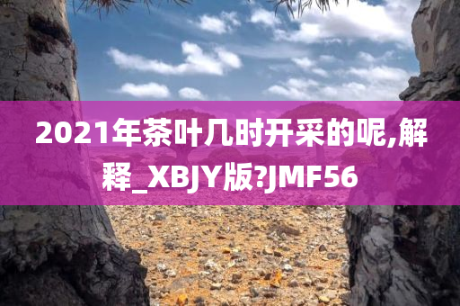 2021年茶叶几时开采的呢,解释_XBJY版?JMF56