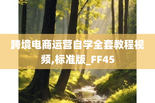 跨境电商运营自学全套教程视频,标准版_FF45