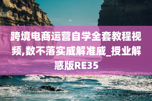 跨境电商运营自学全套教程视频,数不落实威解准威_授业解惑版RE35