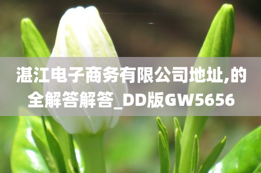 湛江电子商务有限公司地址,的全解答解答_DD版GW5656