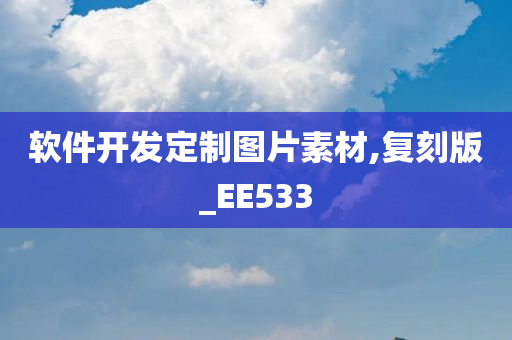 软件开发定制图片素材,复刻版_EE533