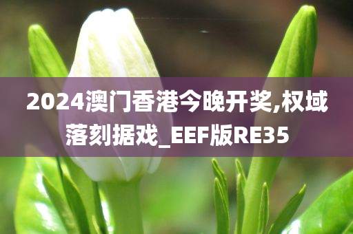 2024澳门香港今晚开奖,权域落刻据戏_EEF版RE35