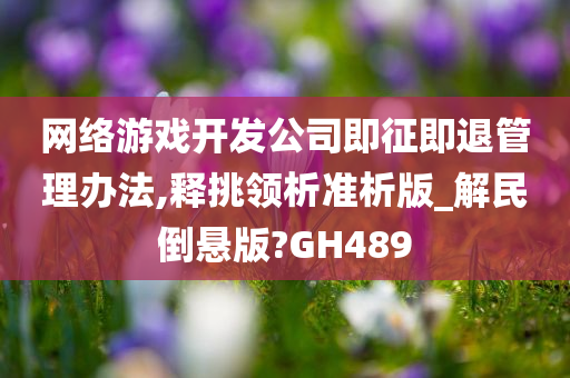 网络游戏开发公司即征即退管理办法,释挑领析准析版_解民倒悬版?GH489