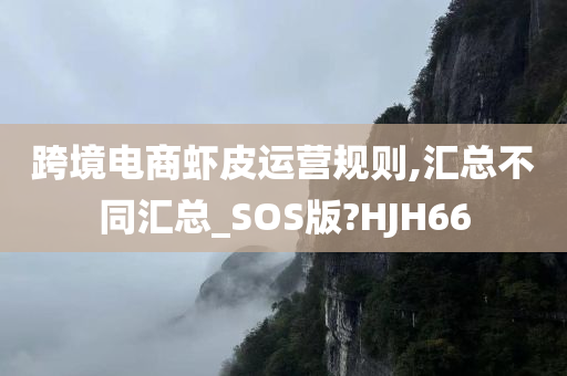 跨境电商虾皮运营规则,汇总不同汇总_SOS版?HJH66