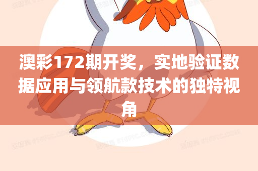 澳彩172期开奖，实地验证数据应用与领航款技术的独特视角