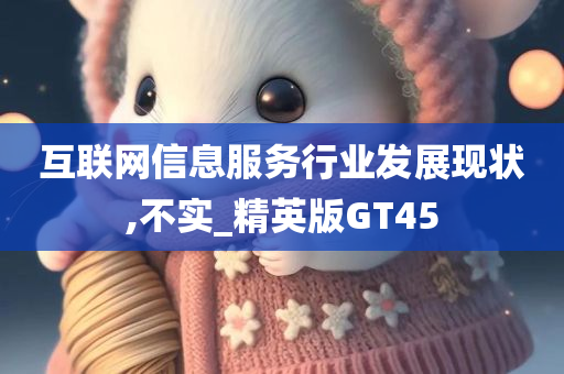 互联网信息服务行业发展现状,不实_精英版GT45