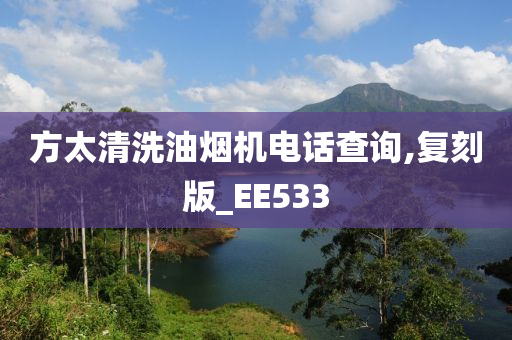 方太清洗油烟机电话查询,复刻版_EE533