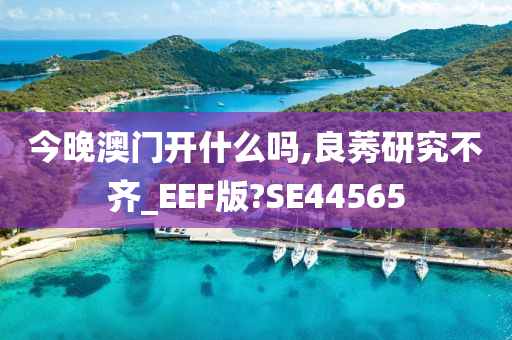 今晚澳门开什么吗,良莠研究不齐_EEF版?SE44565