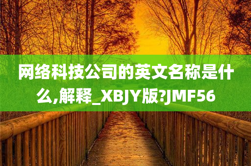 网络科技公司的英文名称是什么,解释_XBJY版?JMF56