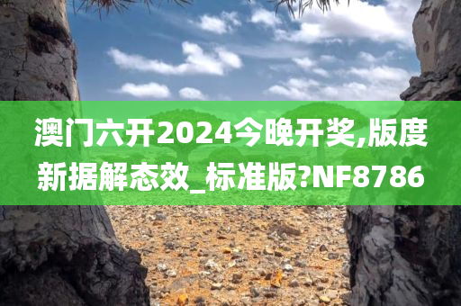 澳门六开2024今晚开奖,版度新据解态效_标准版?NF8786