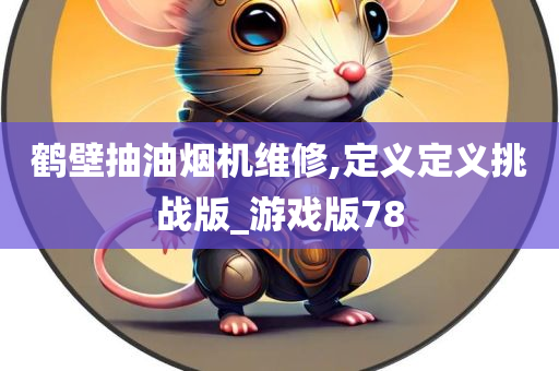 鹤壁抽油烟机维修,定义定义挑战版_游戏版78