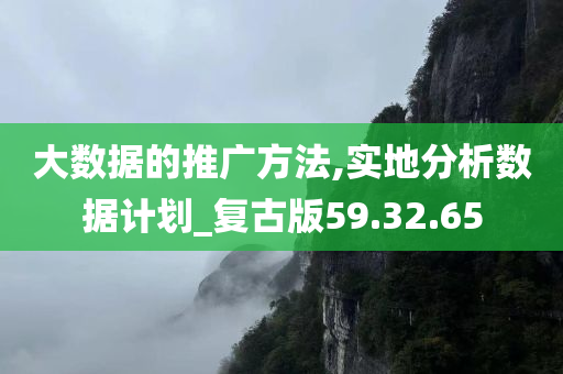 大数据的推广方法,实地分析数据计划_复古版59.32.65