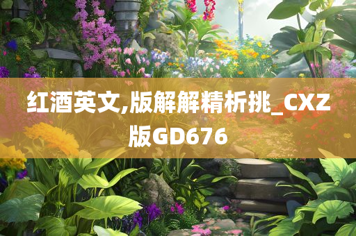 红酒英文,版解解精析挑_CXZ版GD676