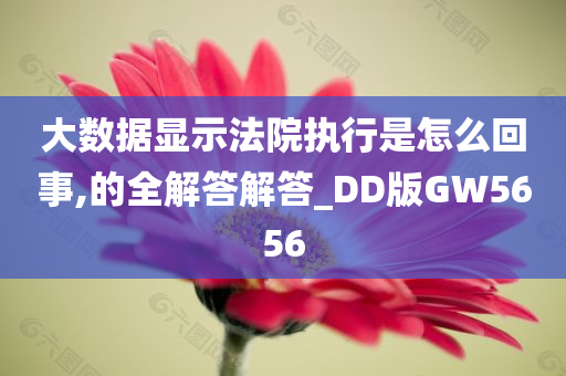 大数据显示法院执行是怎么回事,的全解答解答_DD版GW5656