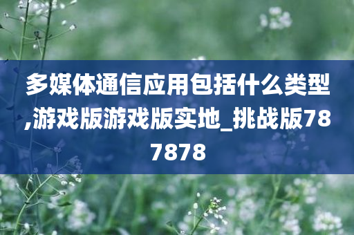 多媒体通信应用包括什么类型,游戏版游戏版实地_挑战版787878