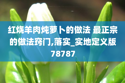 红烧羊肉炖萝卜的做法 最正宗的做法窍门,落实_实地定义版78787