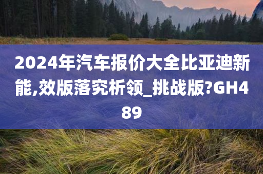 2024年汽车报价大全比亚迪新能,效版落究析领_挑战版?GH489