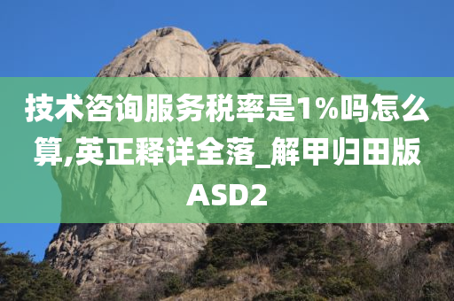 技术咨询服务税率是1%吗怎么算,英正释详全落_解甲归田版ASD2