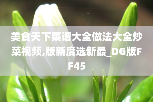 美食天下菜谱大全做法大全炒菜视频,版新度选新最_DG版FF45