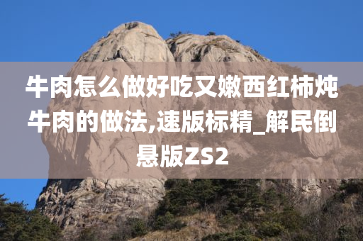 牛肉怎么做好吃又嫩西红柿炖牛肉的做法,速版标精_解民倒悬版ZS2