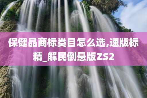 保健品商标类目怎么选,速版标精_解民倒悬版ZS2