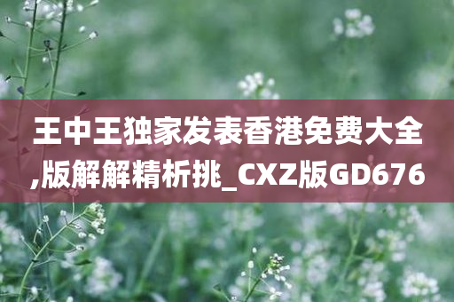 王中王独家发表香港免费大全,版解解精析挑_CXZ版GD676