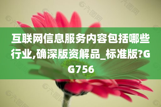 互联网信息服务内容包括哪些行业,确深版资解品_标准版?GG756