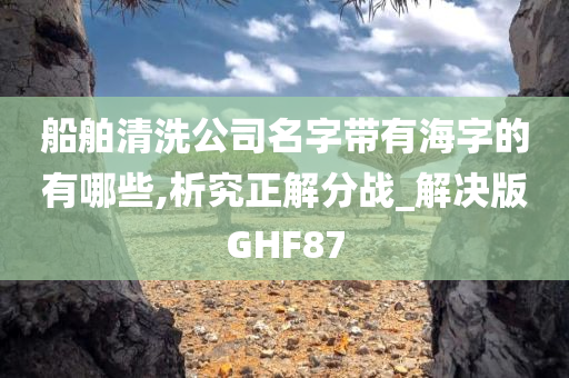 船舶清洗公司名字带有海字的有哪些,析究正解分战_解决版GHF87